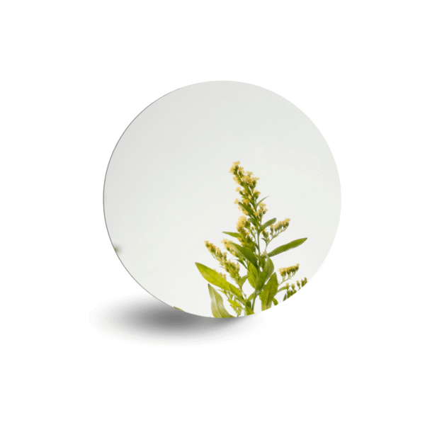 Espejo Autoadhesivo Circular 30cm